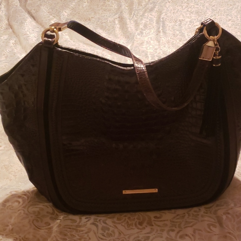 Brahmin shoulder